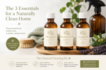 Home Cleaning Kit - Oil of Cloves, Peppermint & Lavender